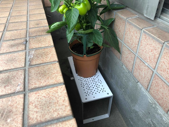 【分享】居家生活中的小巧思 (窗簾 廚房 花台 油漆)