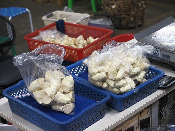 南投 竹山 果菜市場冬筍市集 — 人稱「山珍」之珍貴食材市集