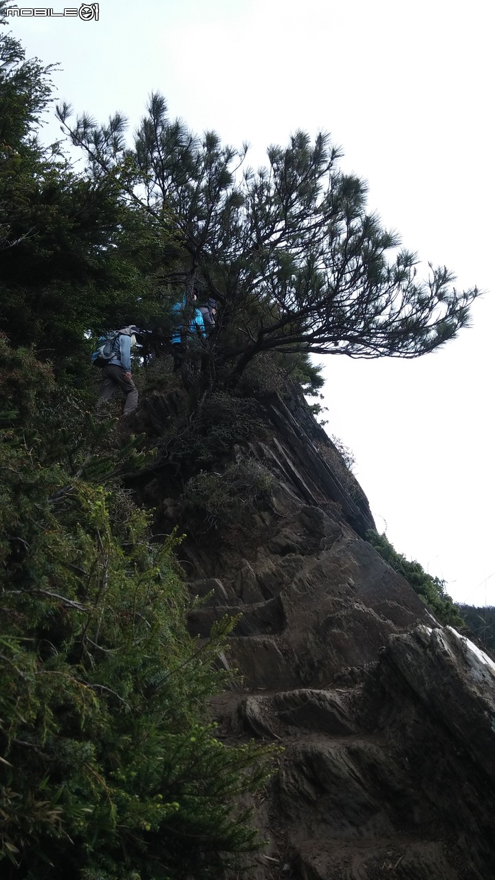 合歡山北峰~合歡山西峰~華岡