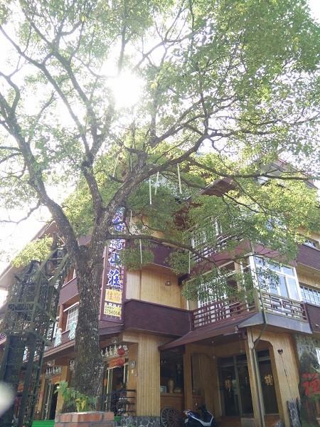 南投小木屋民宿分享(內附照片)!!