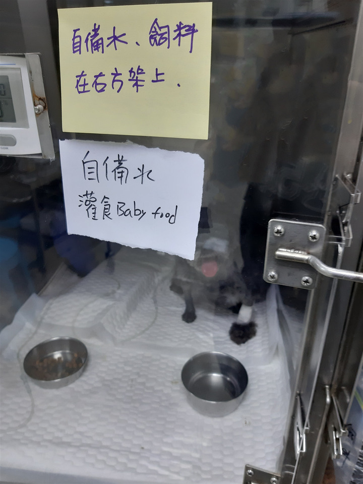 回憶錄 ~小該 [記憶混亂想到就寫]
