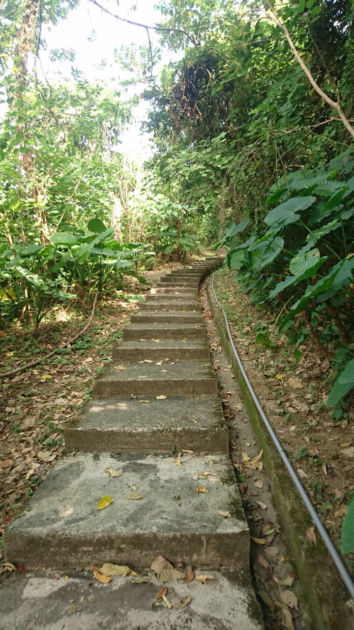 [樂山童盟] [台北中山] 劍潭山親山步道(圓山水神社-劍潭山-劍潭山中山北路登山口)