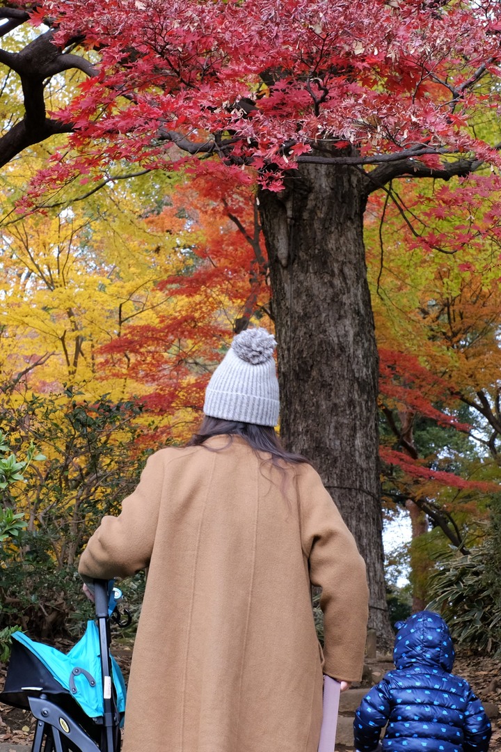 2019年臘月，東京行(圖多)