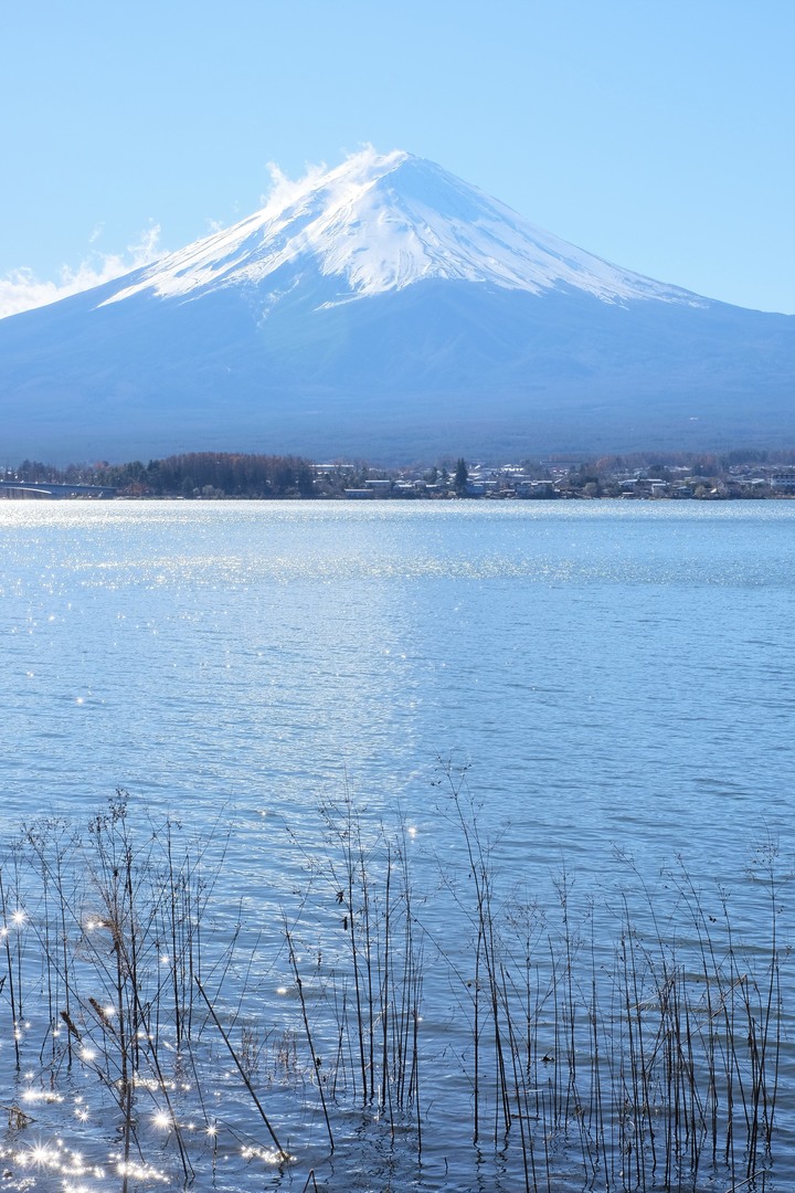2019年臘月，東京行(圖多)