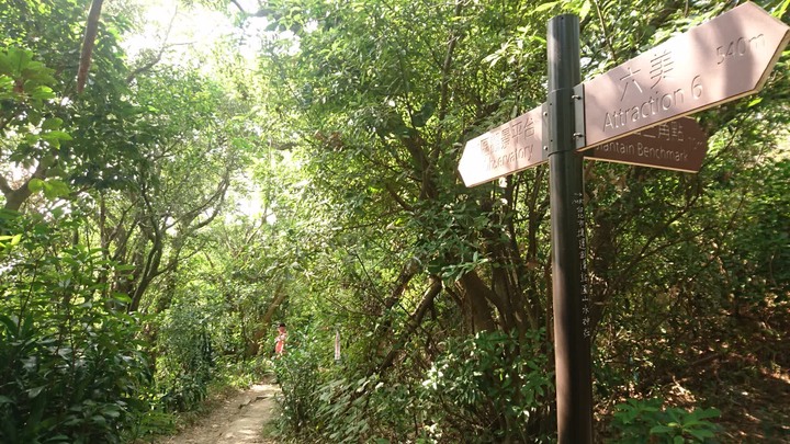 [樂山童盟] [台北中山] 劍潭山親山步道(圓山水神社-劍潭山-劍潭山中山北路登山口)