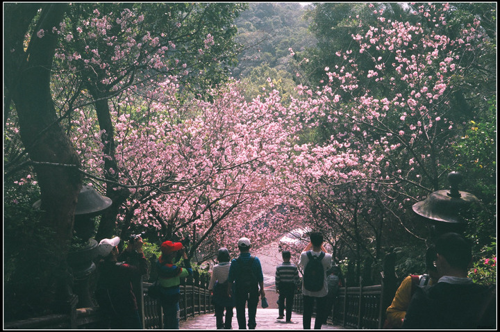 tvs+fuji c200