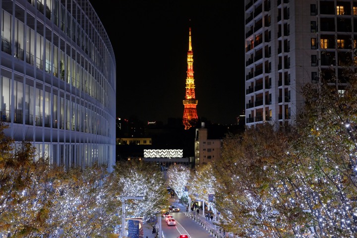 2019年臘月，東京行(圖多)