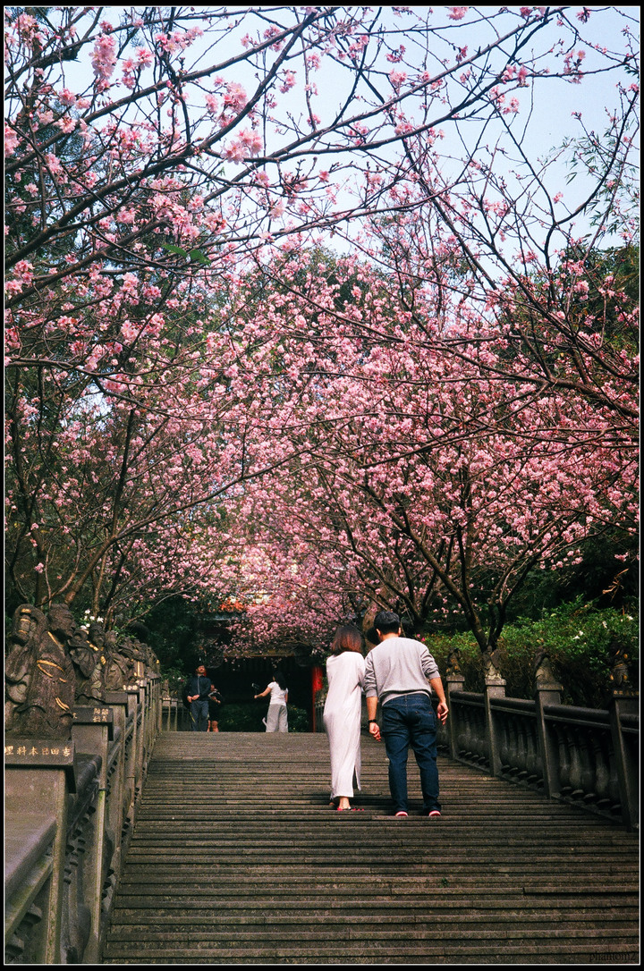 tvs+fuji c200