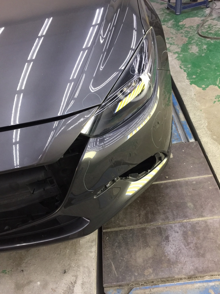 車被撞、刮傷不足為奇，被狗咬才是驚悚