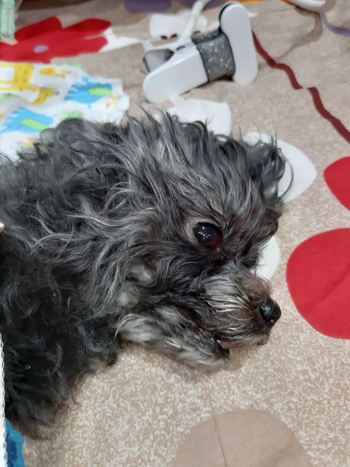 回憶錄 ~小該 [記憶混亂想到就寫]