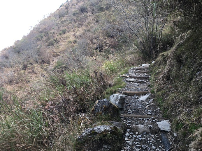 新手入門百岳-挑戰3952玉山主峰!