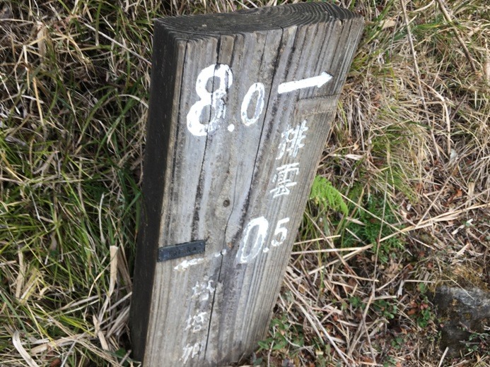 新手入門百岳-挑戰3952玉山主峰!
