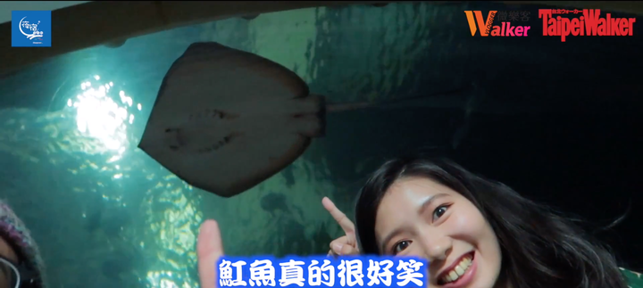 點我看大圖 夜宿海生館初體驗!晚上睡覺有魟魚們陪伴著太療癒拉~