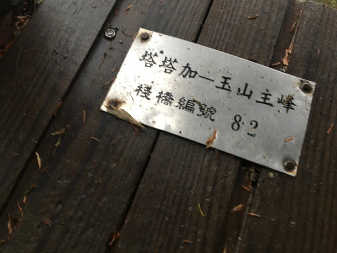 新手入門百岳-挑戰3952玉山主峰!