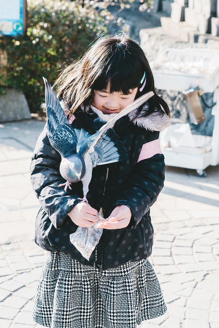 一別六年 [Sony A7R3]
