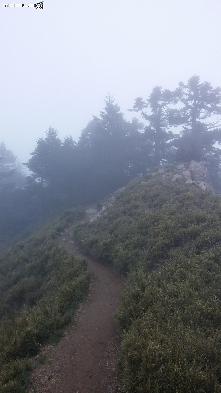 合歡山北峰~合歡山西峰~華岡