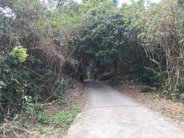 騎 車 到 月 球 ( 燕 巢、田 寮 )