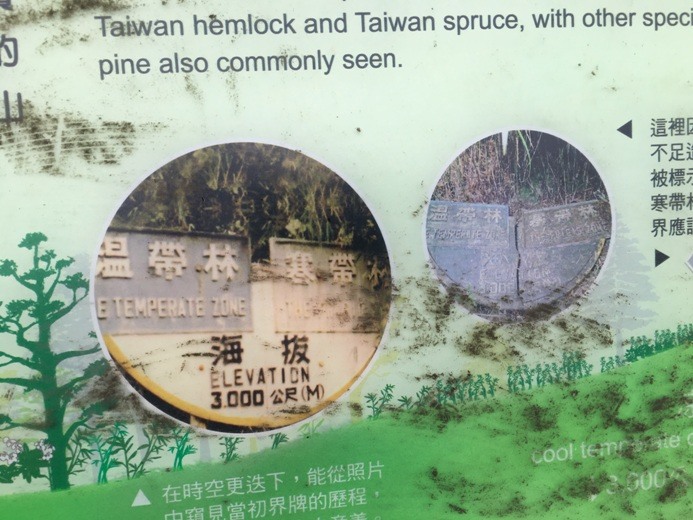 新手入門百岳-挑戰3952玉山主峰!