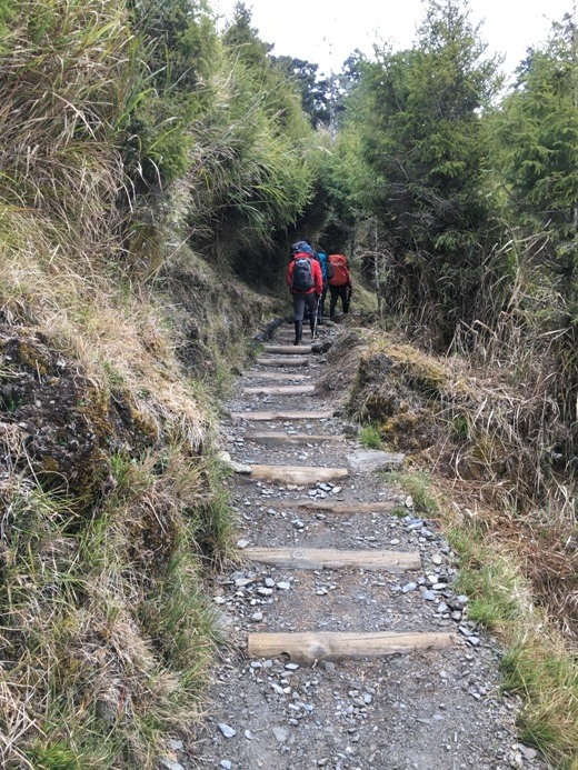 新手入門百岳-挑戰3952玉山主峰!