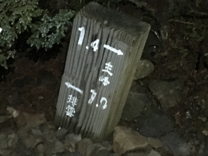 新手入門百岳-挑戰3952玉山主峰!