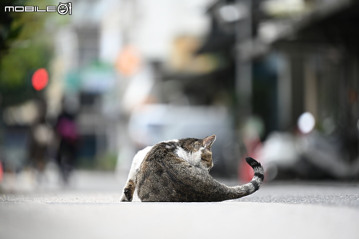 Nikon 70-200mm f/2.8 S 銳利非常 N家望遠代表作 還有與小黑七的人像比較