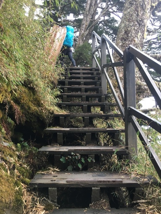 新手入門百岳-挑戰3952玉山主峰!