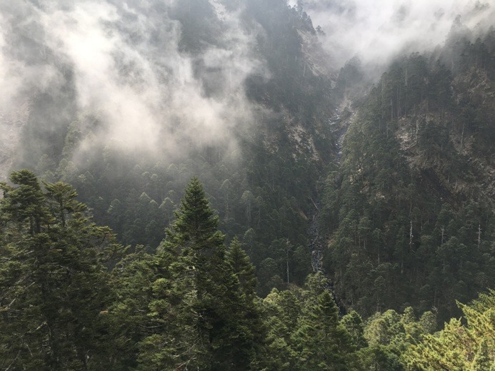 新手入門百岳-挑戰3952玉山主峰!