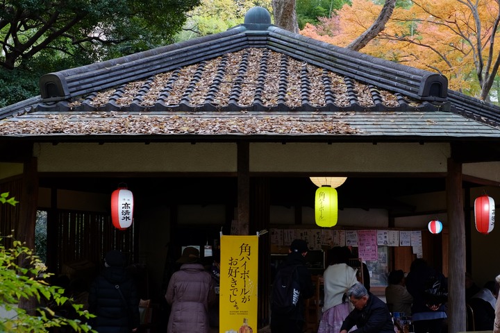 2019年臘月，東京行(圖多)