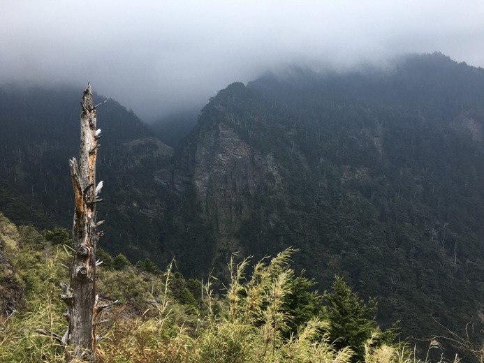 新手入門百岳-挑戰3952玉山主峰!