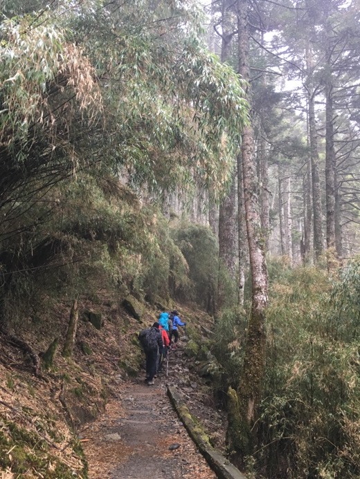 新手入門百岳-挑戰3952玉山主峰!