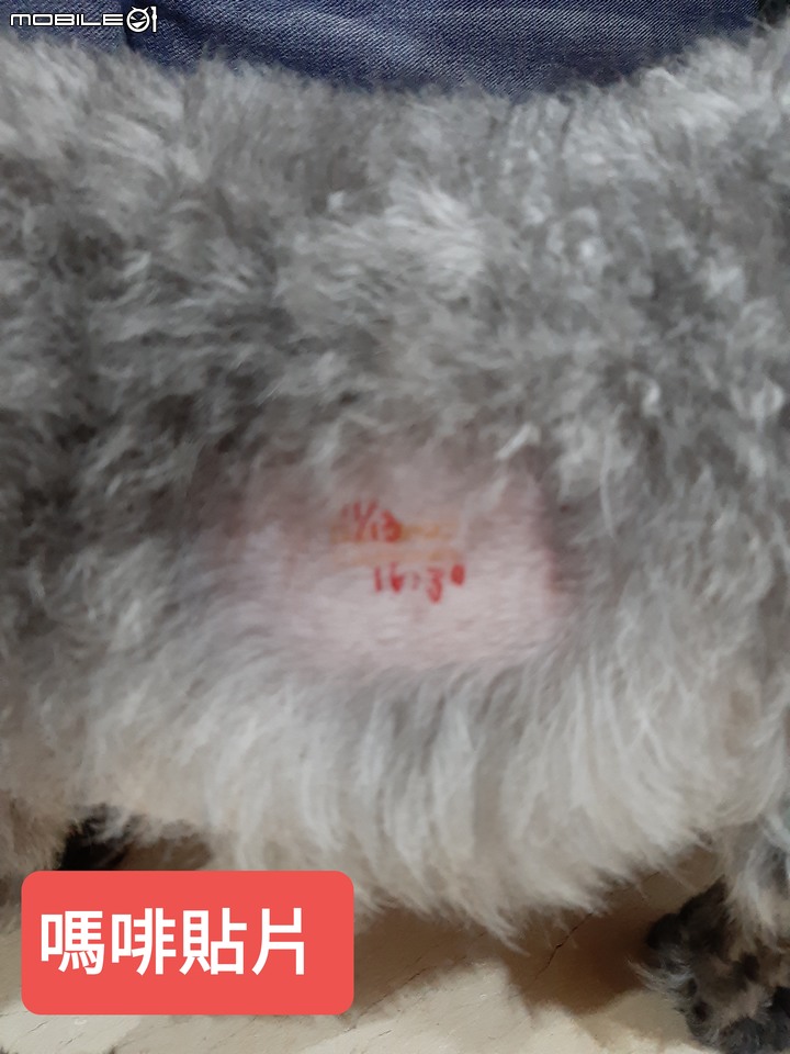 回憶錄 ~小該 [記憶混亂想到就寫]