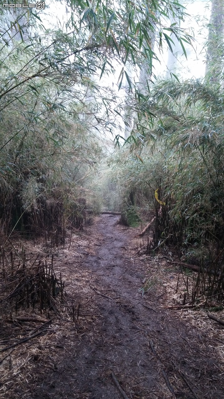 合歡山北峰~合歡山西峰~華岡