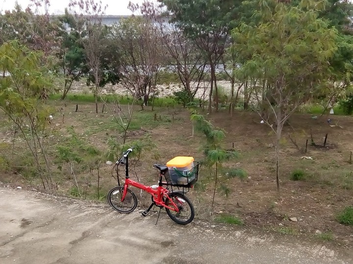 小折改  e cargo bike 彎道小三 越野買菜車