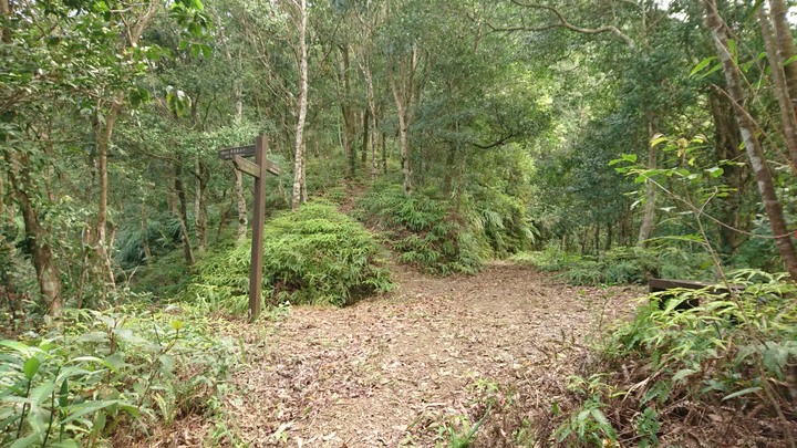 [樂山童盟] [新北坪林] 開眼崙登山步道