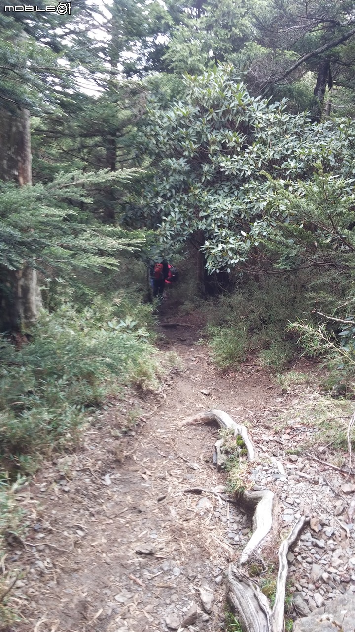 合歡山北峰~合歡山西峰~華岡