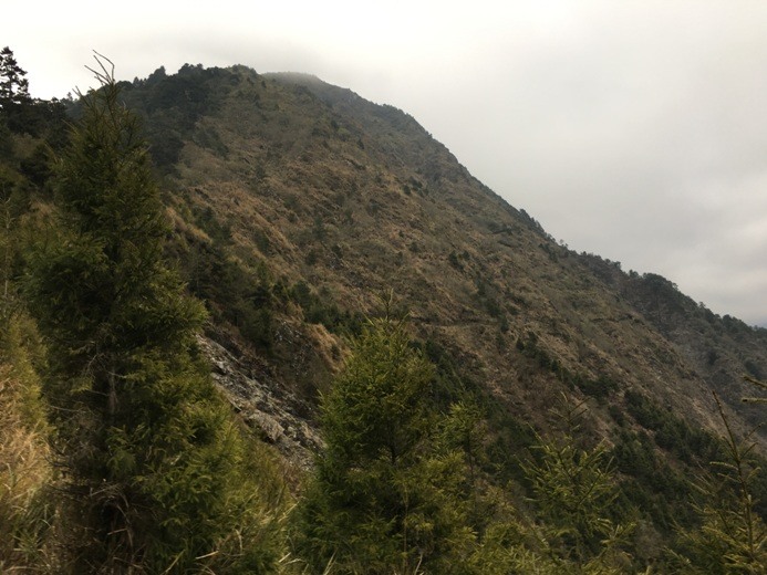 新手入門百岳-挑戰3952玉山主峰!