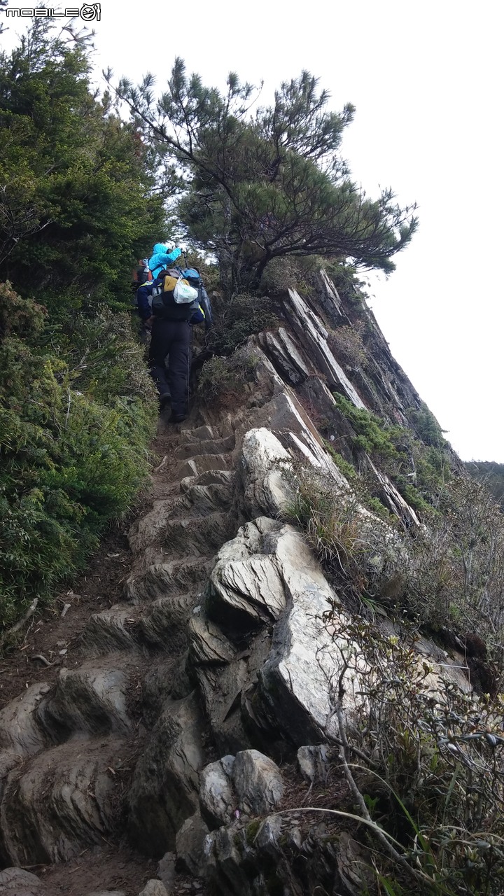 合歡山北峰~合歡山西峰~華岡