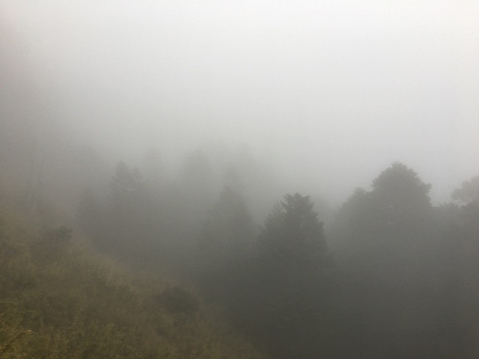 新手入門百岳-挑戰3952玉山主峰!