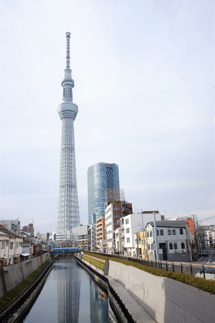 2019年臘月，東京行(圖多)