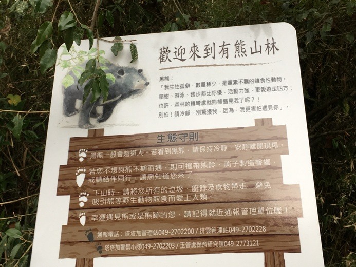 新手入門百岳-挑戰3952玉山主峰!