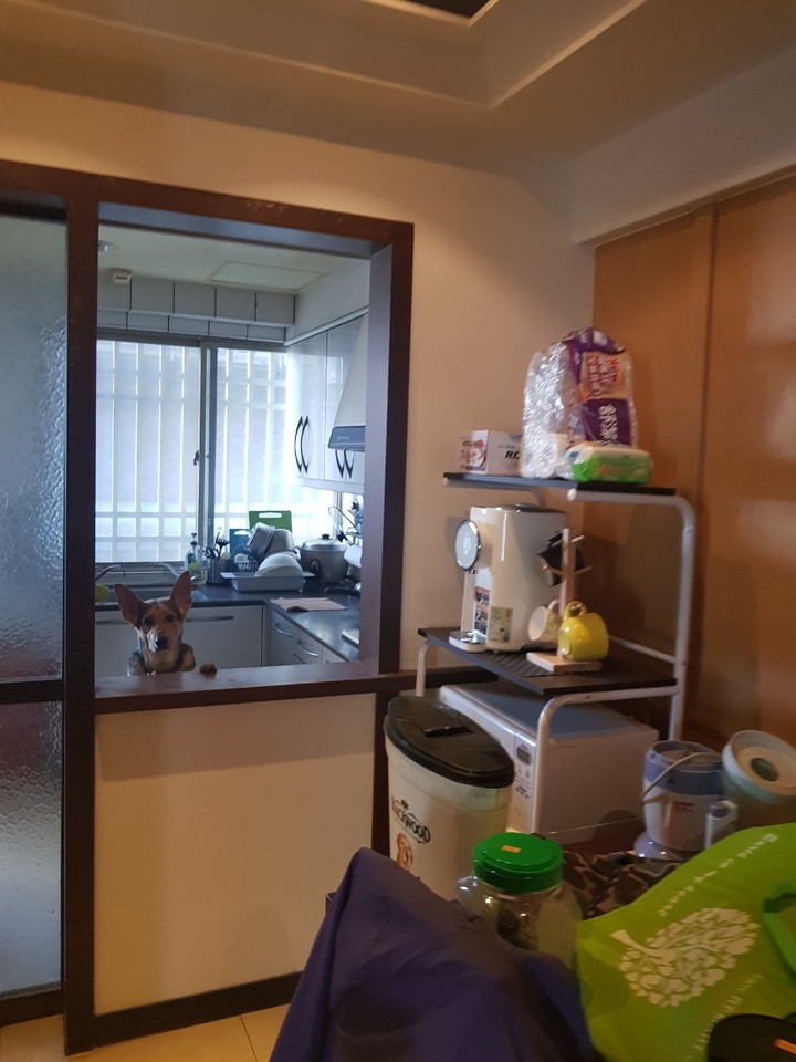 【開箱】我的客餐廳重新整理好摟!