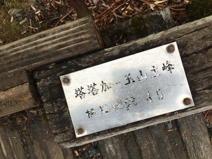 新手入門百岳-挑戰3952玉山主峰!