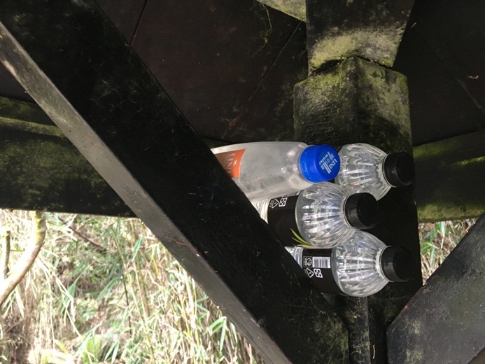 新手入門百岳-挑戰3952玉山主峰!