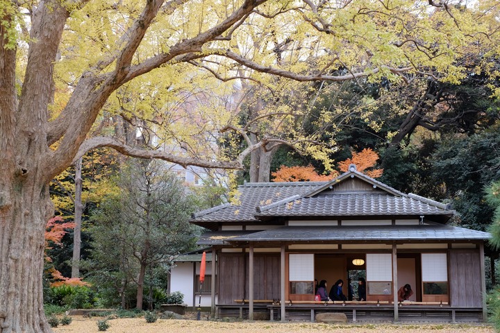 2019年臘月，東京行(圖多)