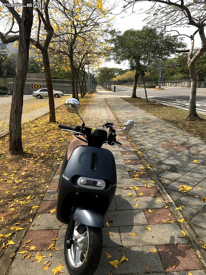 選電車是好是壞?