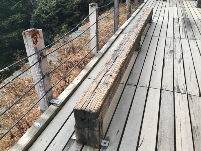 新手入門百岳-挑戰3952玉山主峰!