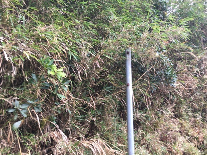 新手入門百岳-挑戰3952玉山主峰!