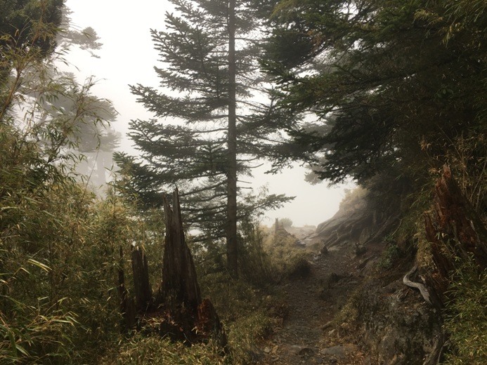 新手入門百岳-挑戰3952玉山主峰!