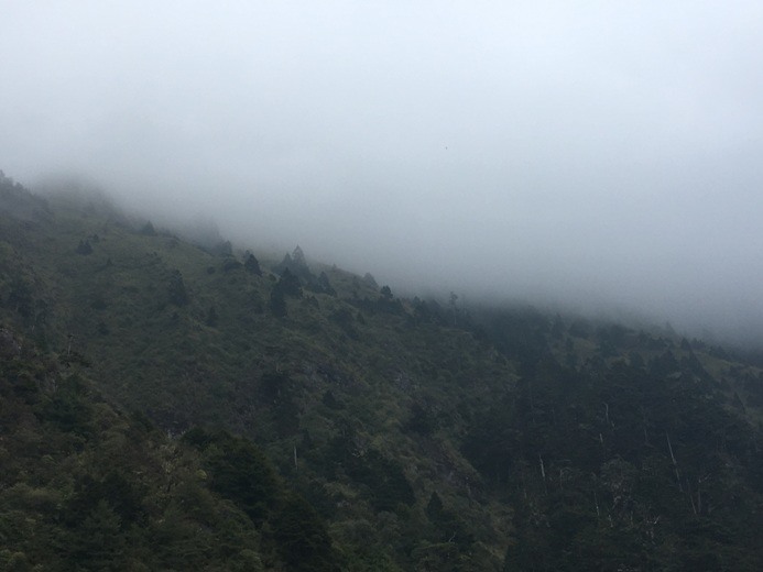 新手入門百岳-挑戰3952玉山主峰!