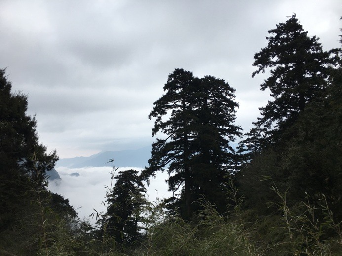 新手入門百岳-挑戰3952玉山主峰!